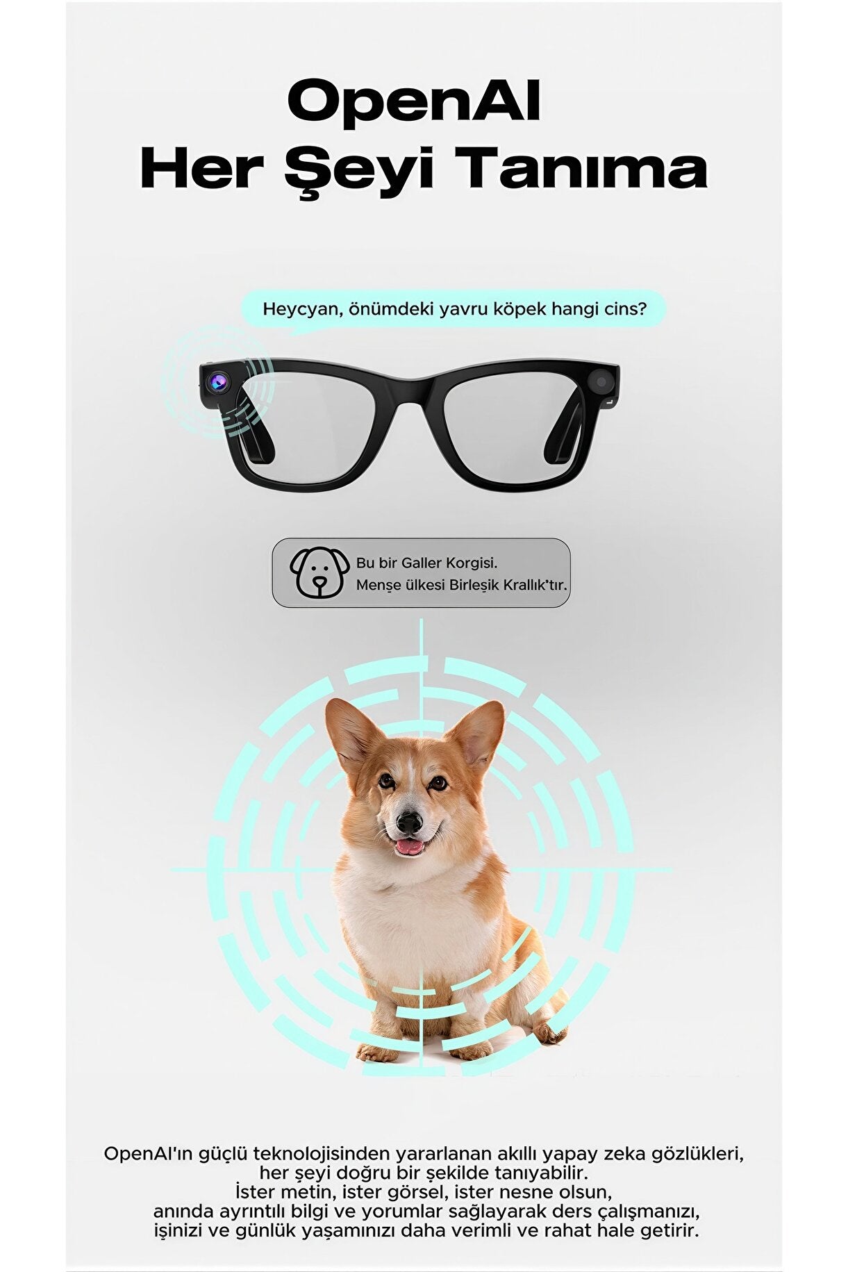 Visionix Akıllı Gözlük